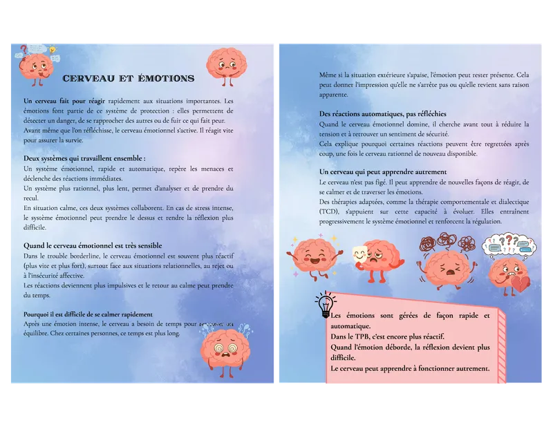 Exemple de fiche psycho-éducation